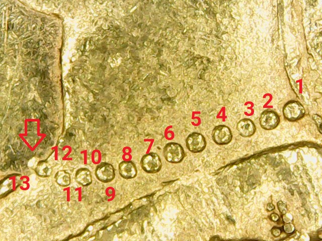 13 pearl half sovereign